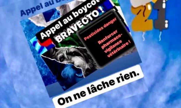 Petition : ⚠️Pour la Protection Animale : Retirer les antiparasitaires contenant des pesticides tels que BRAVECTO et Améliorer le système de PHARMACOVIGILANCE VÉTÉRINAIRE !