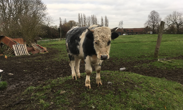 Petition : LA FERME DE L'HORREUR