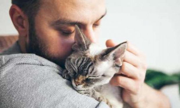 Petition : En marche vers une évolution radicale des droits des animaux en France