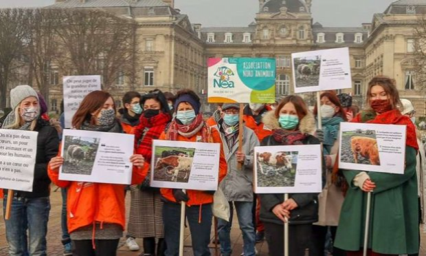 Petition : LA FERME DE L'HORREUR