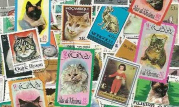 Petition : Autorisation de nourrir les chats errants/libres en France