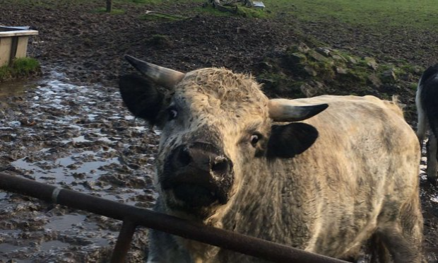 Petition : LA FERME DE L'HORREUR