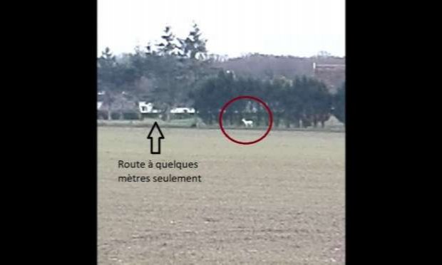 Petition : Pour une saisie des ANIMAUX CAPTIFS pour NON-GERANCE et MAUVAIS TRAITEMENTS !