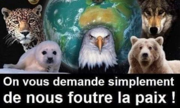 Petition : En marche vers une évolution radicale des droits des animaux en France