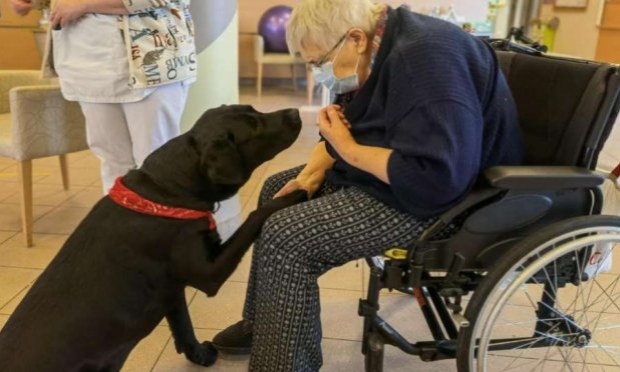 Petition : Pour une généralisation de la médiation animale dans les EHPAD