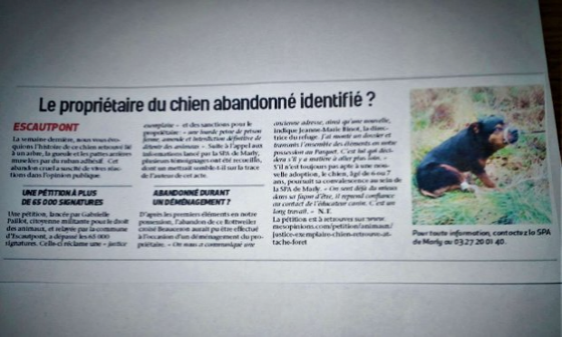 Petition : Justice exemplaire pour le chien retrouvé attaché en forêt d'Escautpont pattes et museau scotchés ( 59)