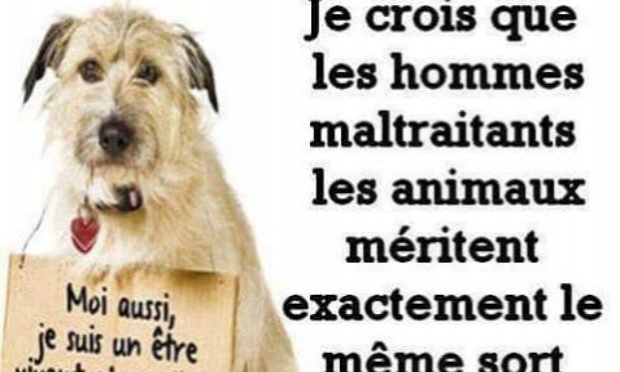 Petition : Peine maximale contre l'individu ayant attaché et poignardé la chienne INA dans une baignoire à Morsang-sur-Orge