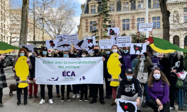 Petition : Paris ne doit plus accueillir des salons et expositions ventes d'animaux vivants