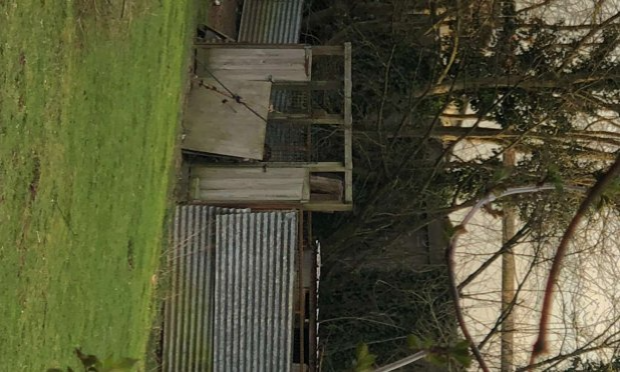 Petition : 3 chiens de chasse en souffrance détenus dans des cabanes en tôle
