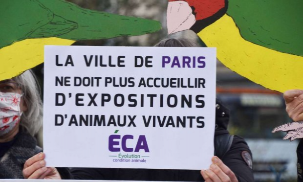Petition : Paris ne doit plus accueillir des salons et expositions ventes d'animaux vivants