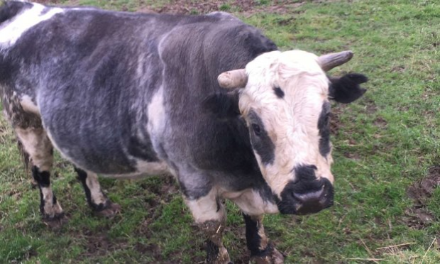 Pétition : LA FERME DE L'HORREUR