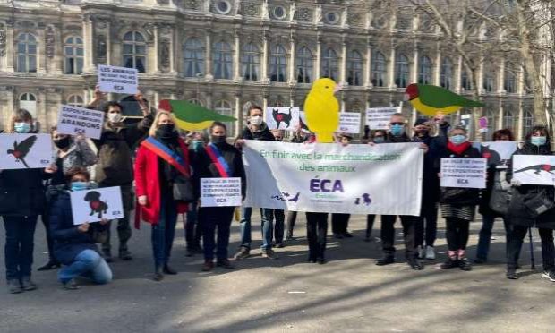 Petition : Paris ne doit plus accueillir des salons et expositions ventes d'animaux vivants