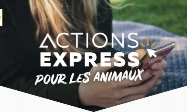 Petition : OFFEKERQUE : Non à l'élevage industriel de 40 000 poulets.