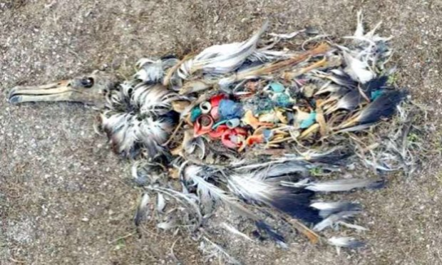 Petition : Stop aux emballages plastiques qui polluent les océans, l'air, les sols. Il faut y mettre fin, MAINTENANT