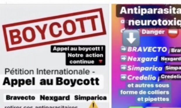 Petition : ⚠️Pour la Protection Animale : Retirer les antiparasitaires contenant des pesticides tels que BRAVECTO et Améliorer le système de PHARMACOVIGILANCE VÉTÉRINAIRE !
