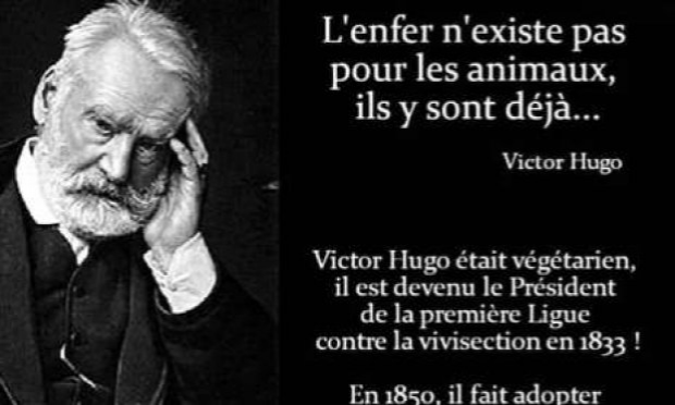 Petition : Prison ferme et interdiction définitive de détenir des animaux contre la femme ayant traîné son chien derrière un véhicule à Renaison le 10/12/2020