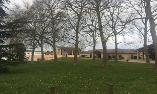 Petition : Urgence, ensemble sauvons les arbres et le parc du 