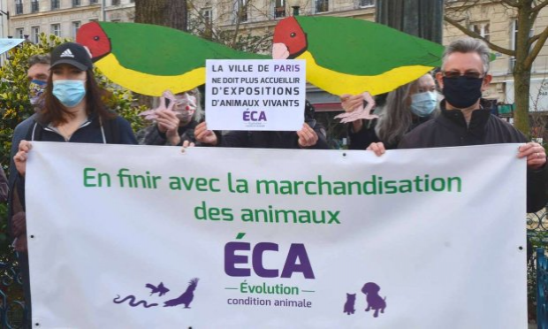 Petition : Paris ne doit plus accueillir des salons et expositions ventes d'animaux vivants