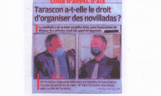 Petition : CORRIDAS : STOP  !