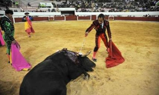 Petition : LEETCHI : Pour l'interdiction des cagnottes en lien avec la cruauté sur les animaux