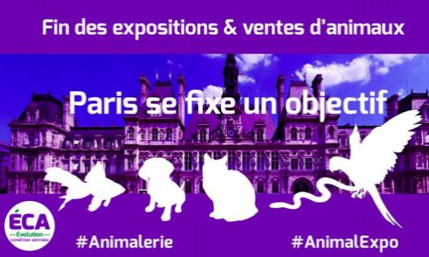 Petition : Paris ne doit plus accueillir des salons et expositions ventes d'animaux vivants