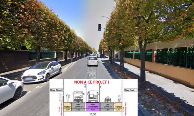 Petition : Non à l'abattage de 120 arbres et à la suppression de 47 places de stationnement pour la création d'un couloir de bus!