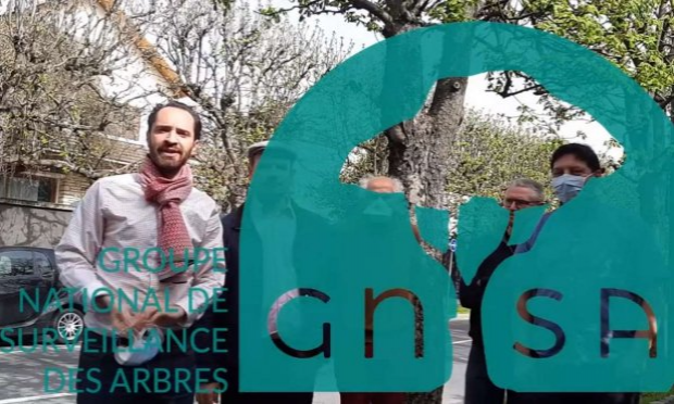 Petition : Non à l'abattage de 120 arbres et à la suppression de 47 places de stationnement pour la création d'un couloir de bus!