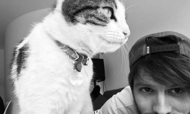 Petition : Justice exemplaire pour Philippine, chatte enterrée vivante après avoir reçu des coups de pelle à Vannes .