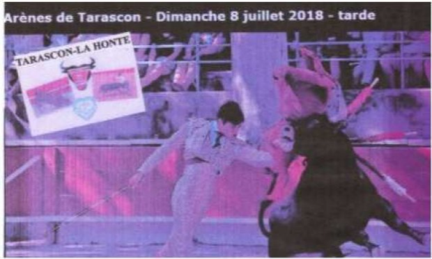 Petition : Ensemble, abolissons la corrida