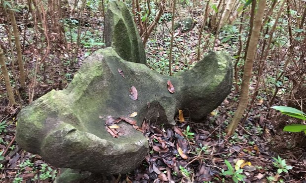 Petition : Ne sacrifiez pas la vallée de Faaroa pour un centre d'enfouissement de déchets