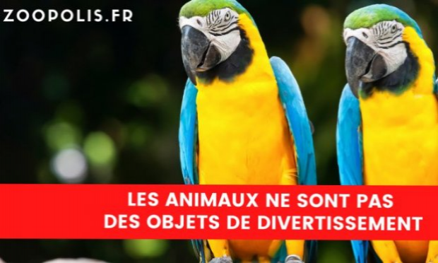 Petition : Fermons la Ménagerie, le zoo du Jardin des Plantes de Paris