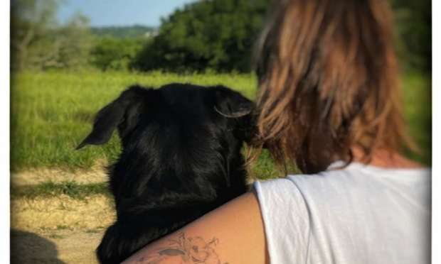 Petition : Justice pour Frost, un jeune Beauceron empoisonné avec du Molluscicide à Saint Pée sur Nivelle (64)