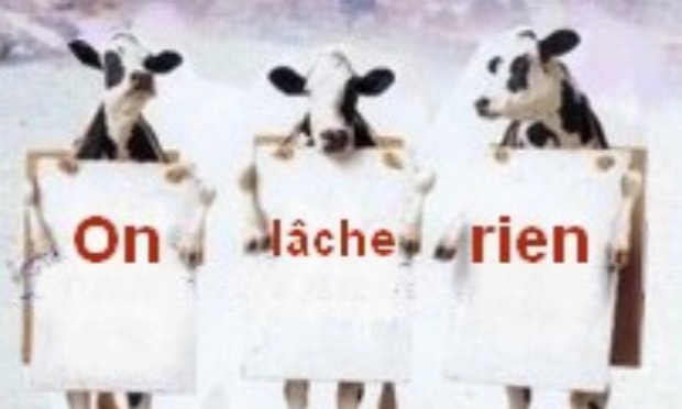 Petition : Une ferme de 400 vaches ne peut être protectrice de l'environnement !