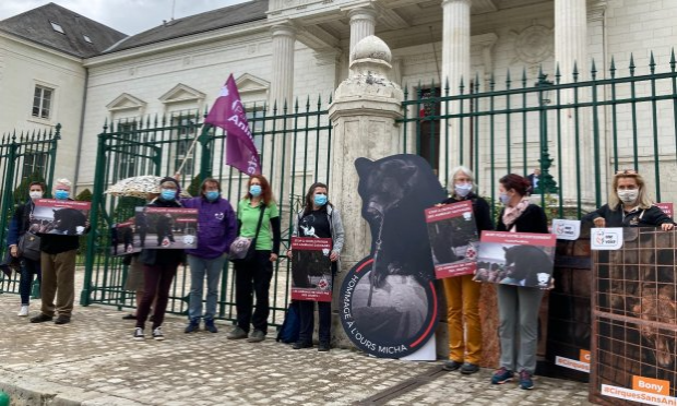 Petition : Retrait de l'ensemble des animaux des Poliakov