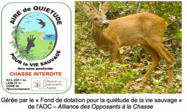 Petition : INTERDICTION DE LA CHASSE À COURRE ET DE LA CHASSE TOUT COURT