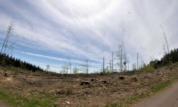 Petition : NON à la piste forestiére à LAVAULT de FRETOY (58230)