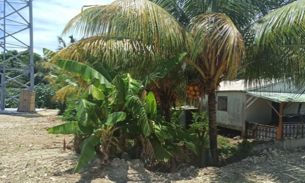 Petition : Contre l'antenne de 45m de haut au cœur des habitations et à proximités de sites protégés en Guadeloupe