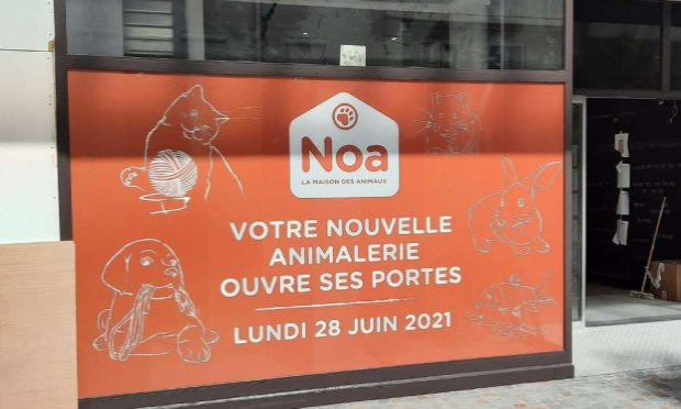 Petition : INTERDIRE LA VENTE D’ANIMAUX CHEZ NOA ANIMALERIE