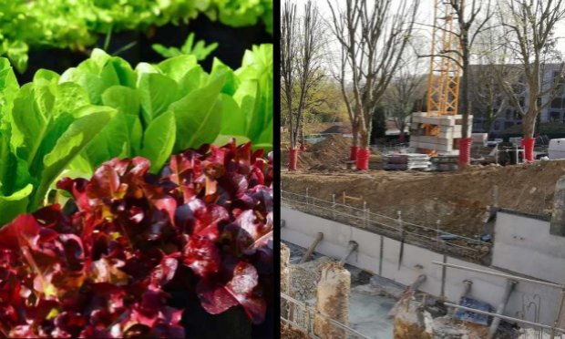 Petition : Sauvegardons le coteau de Torcy