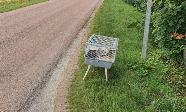 Petition : INTERDIRE LA VENTE D’ANIMAUX CHEZ NOA ANIMALERIE