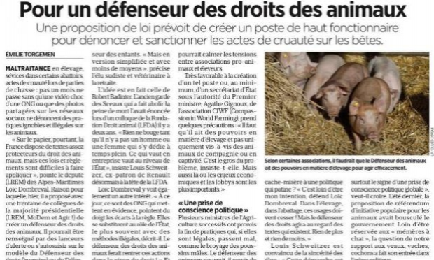 Petition : Création d'un ministère des droits des animaux en France