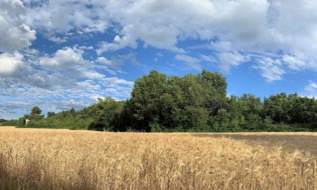 Petition : NON à la construction d’un CENTRE EDUCATIF FERME (CEF) sur la commune d’APT
