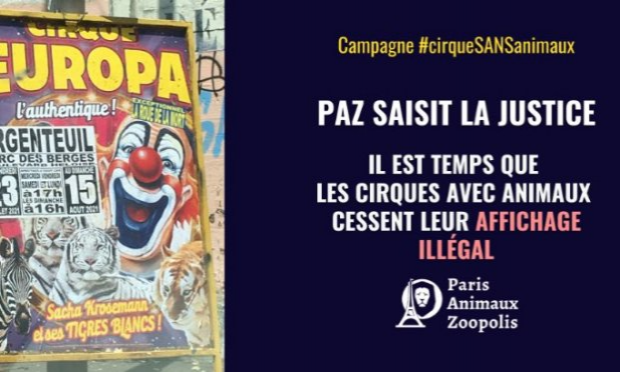 Petition : Pour que la Mairie de Villabé (91) s'engage pour l'interdiction des animaux dans les cirques