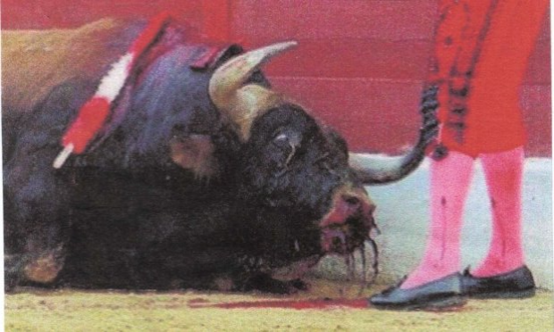 Petition : TARASCON-LA HONTE : Ce n'est pas LA JUSTICE, mais L'A-JUSTICE qui a été rendue  !