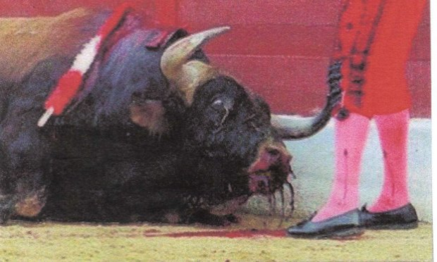 Petition : Ensemble, abolissons la corrida