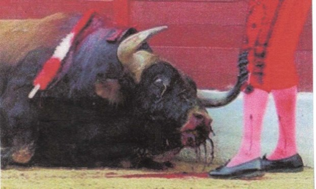 Petition : CORRIDAS : STOP  !