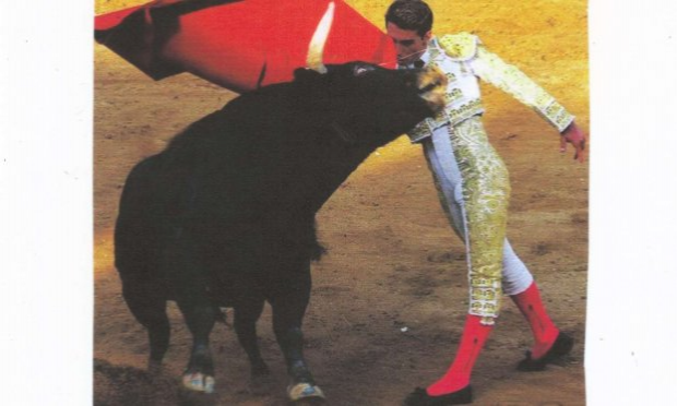 Petition : Ensemble, abolissons la corrida