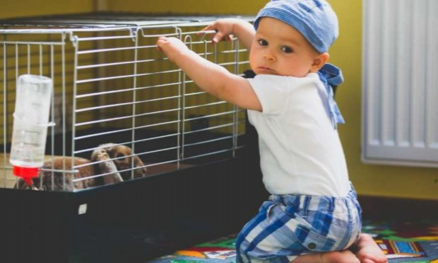 Petition : INTERDIRE LA VENTE D’ANIMAUX CHEZ NOA ANIMALERIE