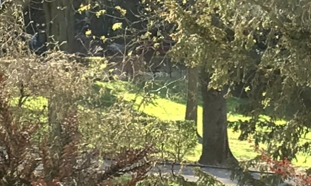 Petition : Parc Salvator Mulhouse : Oui à la vie et aux animations, mais pas dans n'importe quelles conditions !