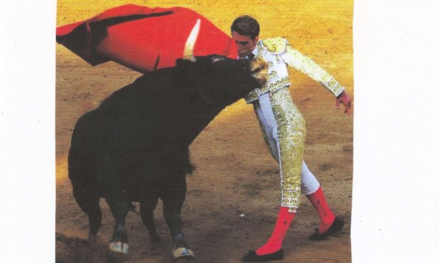 Petition : CORRIDAS : STOP  !